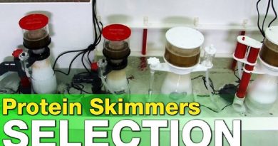 Which size of protein skimmer do you need?